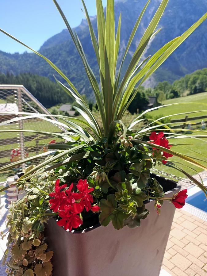 Holiday home Hanni Unterburg (Liezen)