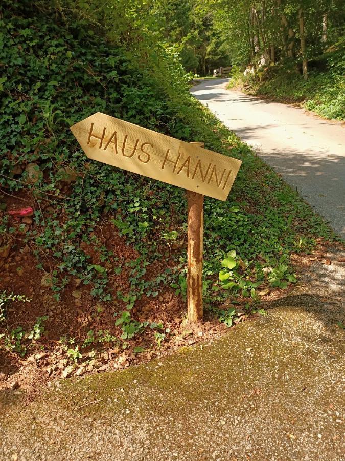 Hanni Holiday home *